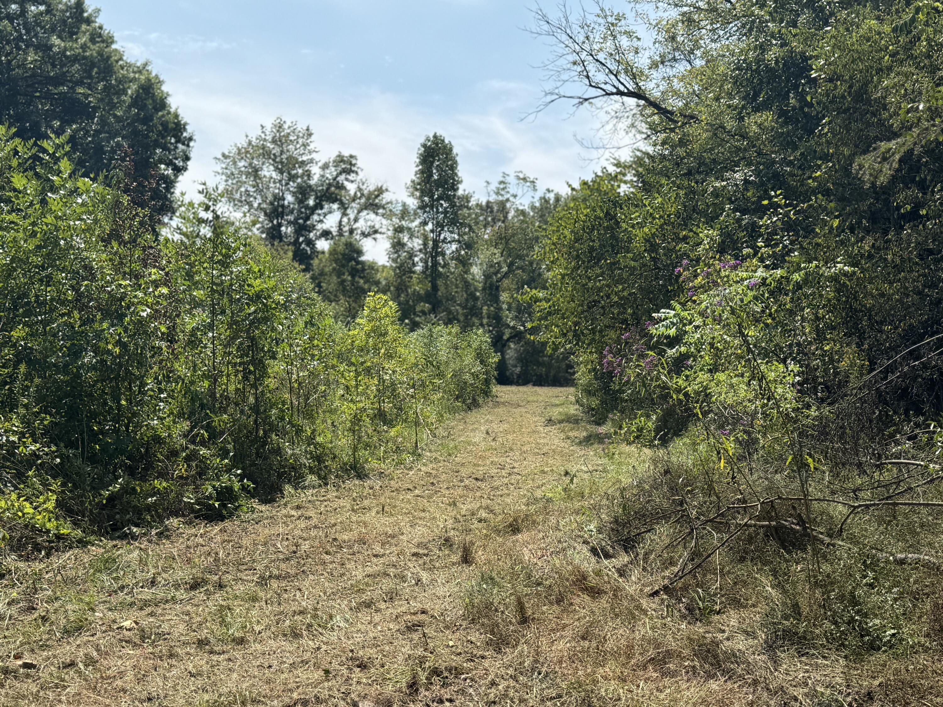 0 Long Hollow Road S, LaFayette