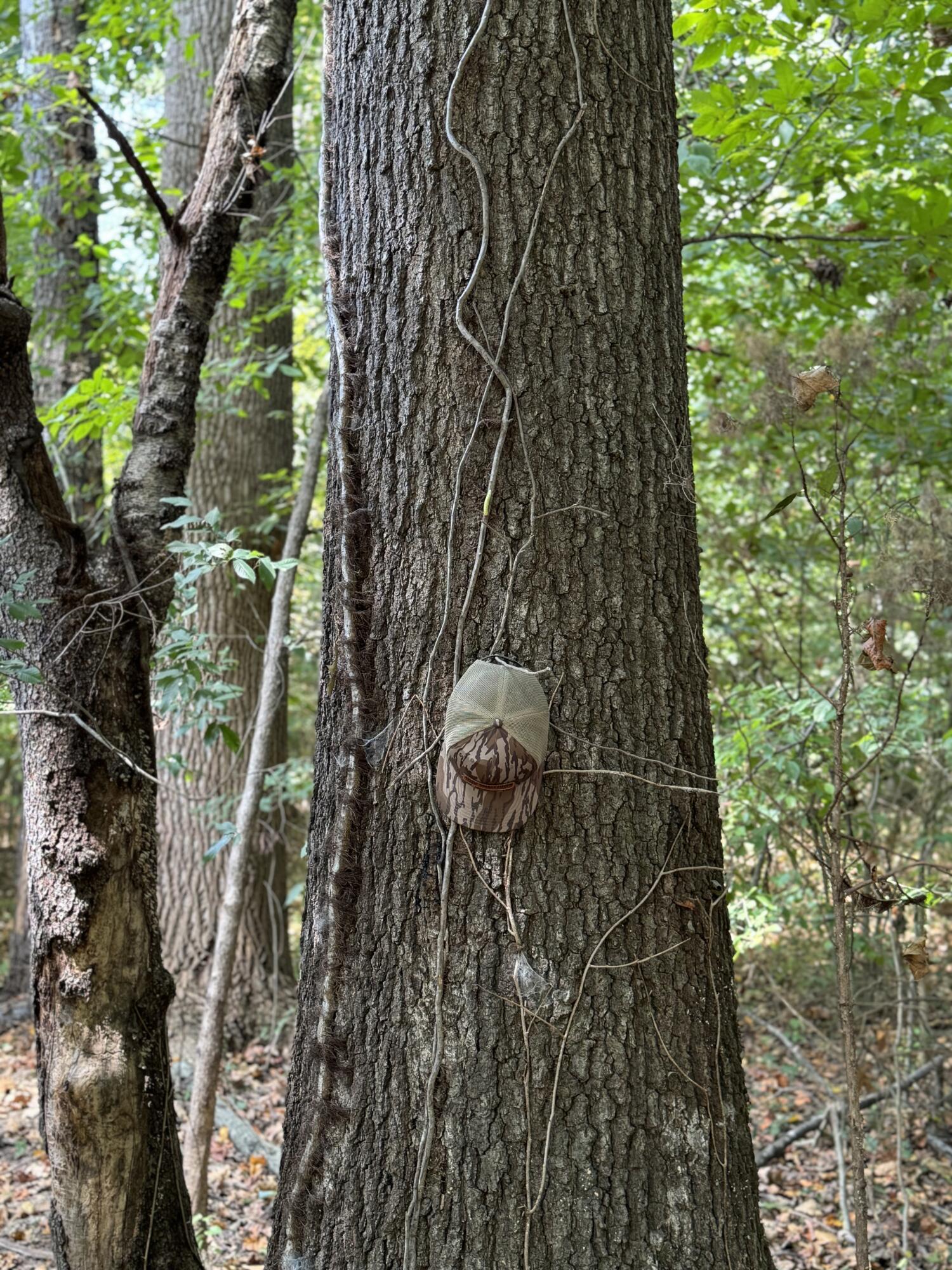 0 Long Hollow Road S, LaFayette