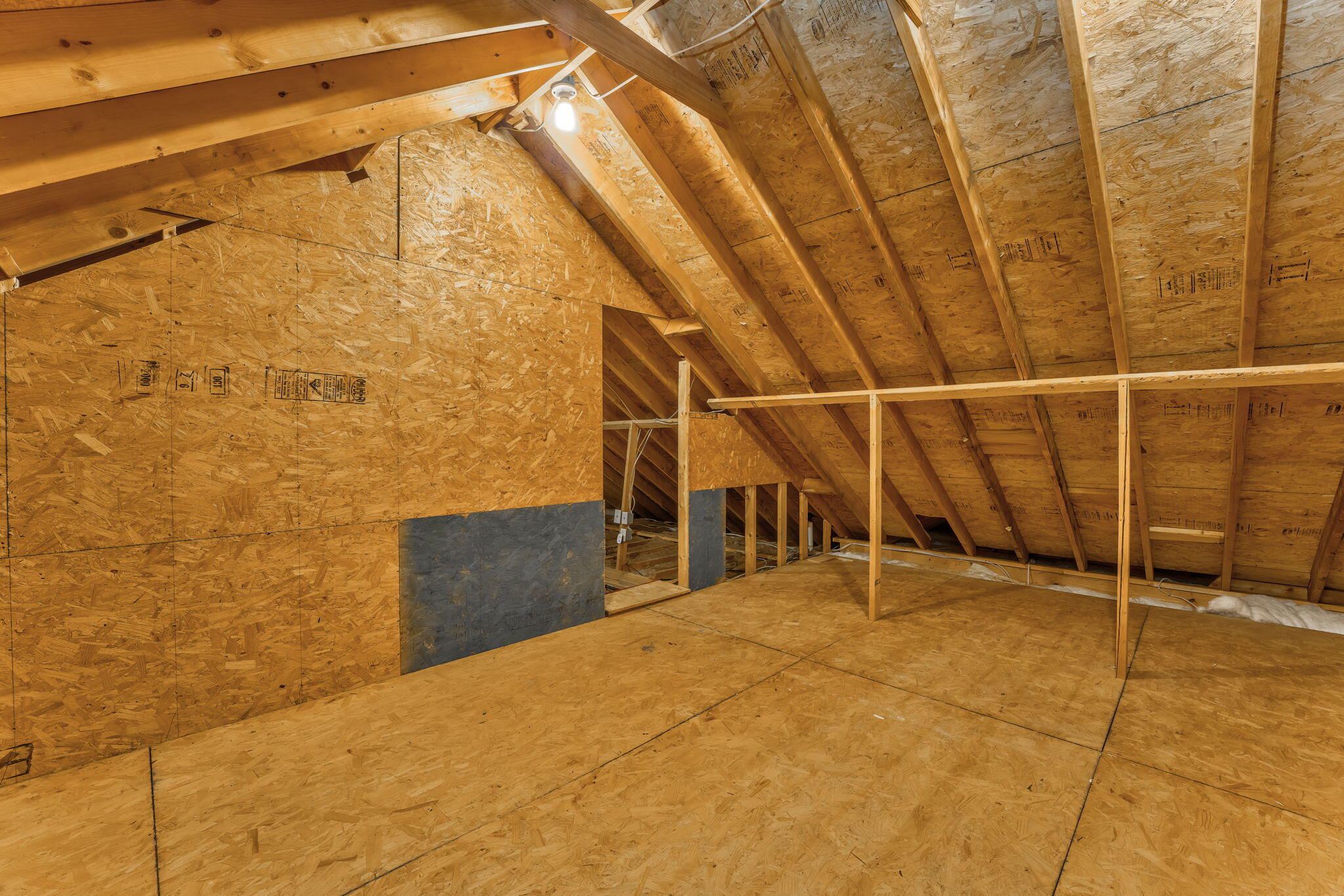 243 Windbrook Drive