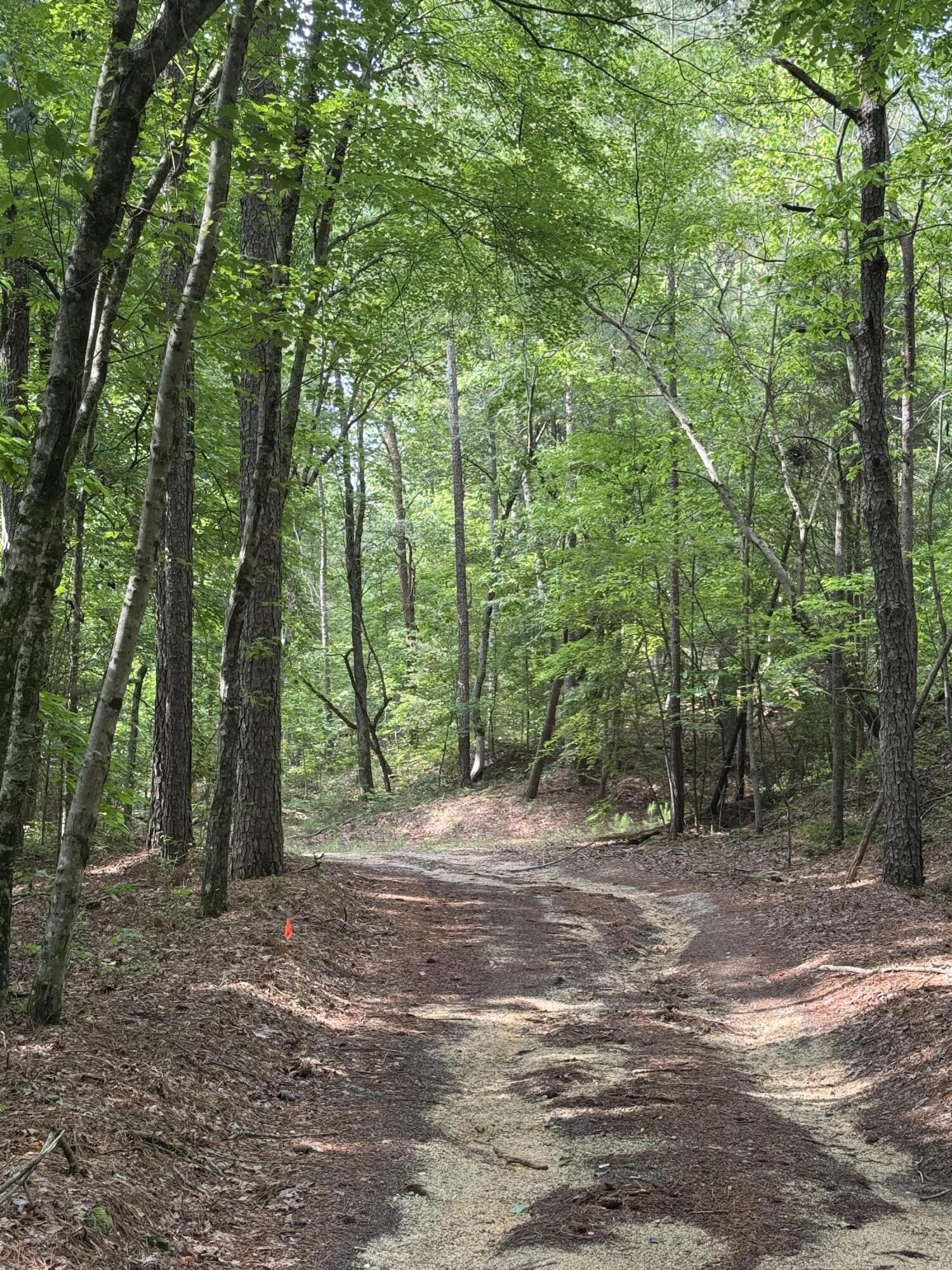 0 Colbert Hollow Road