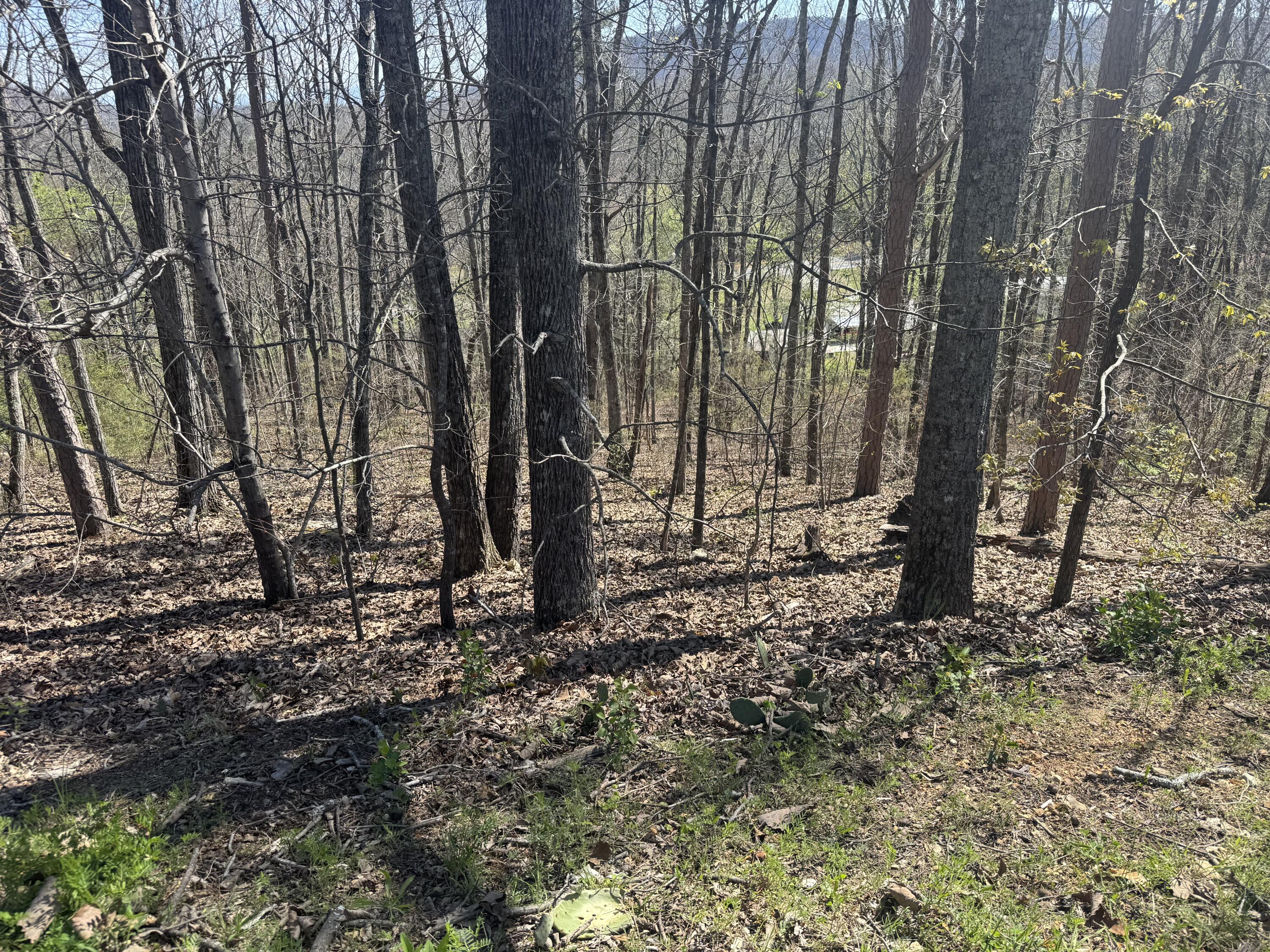 Lot 21 Stoney Point Circle