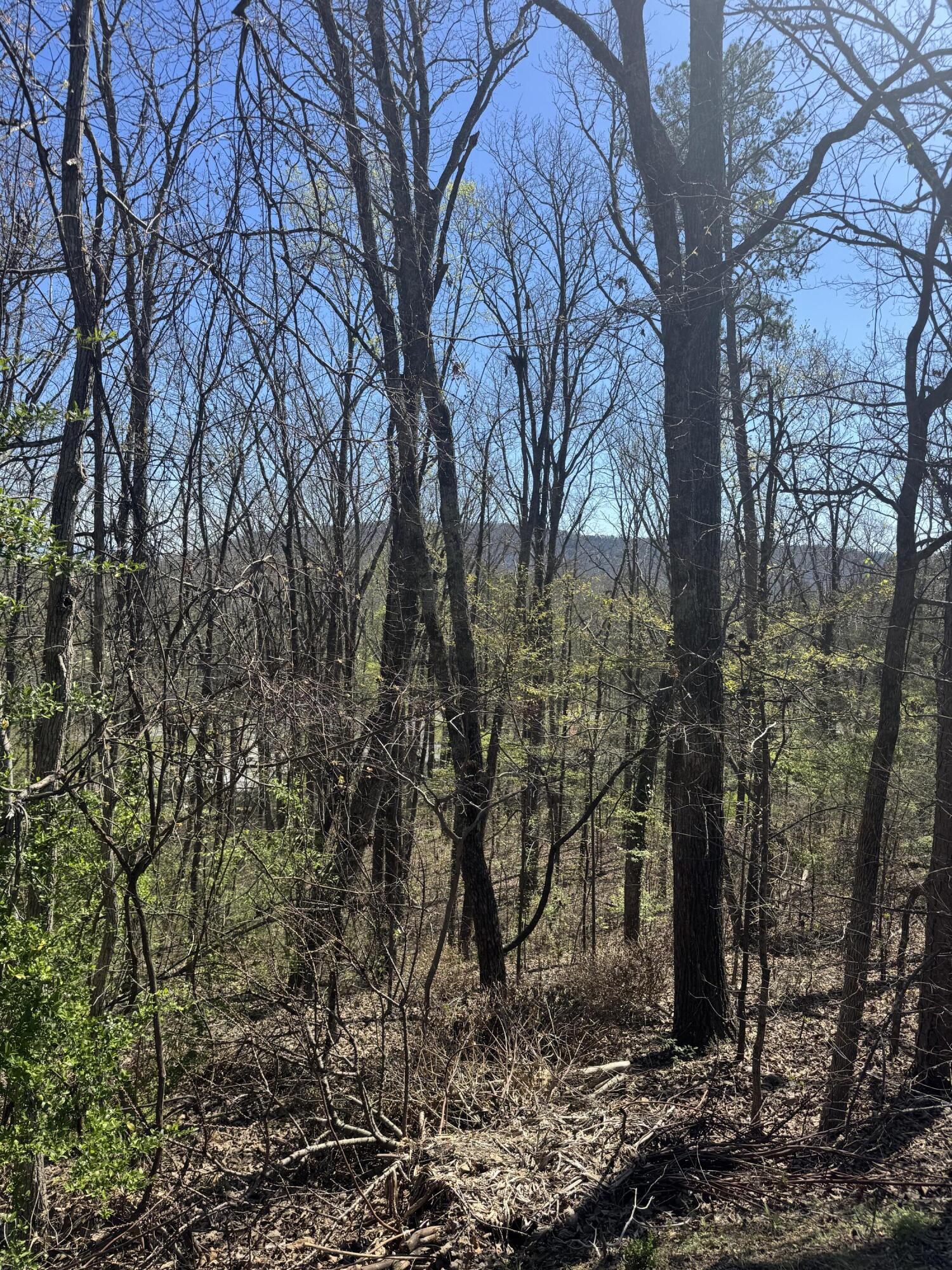 Lot 22 Stoney Point Circle