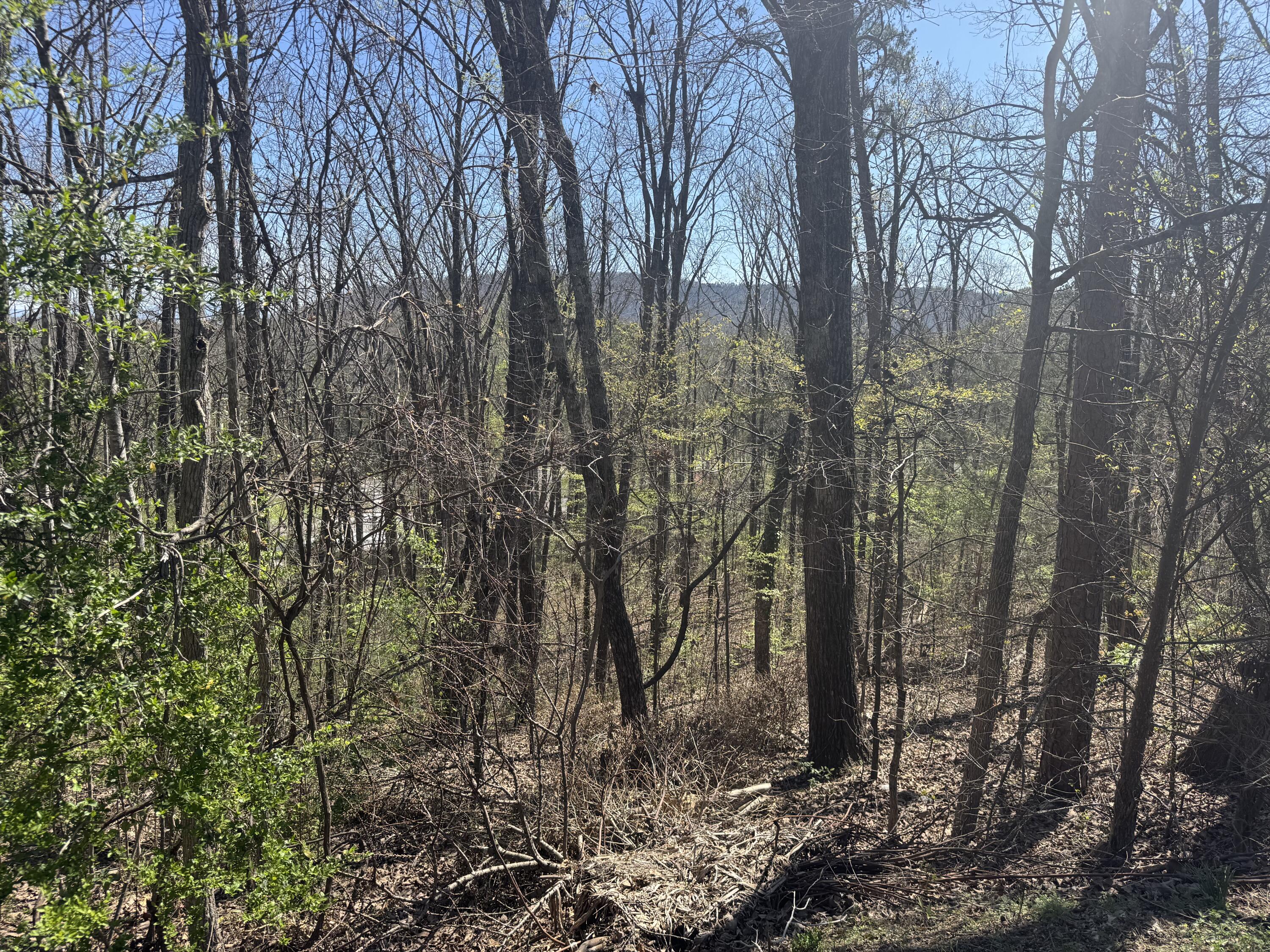 Lot 22 Stoney Point Circle