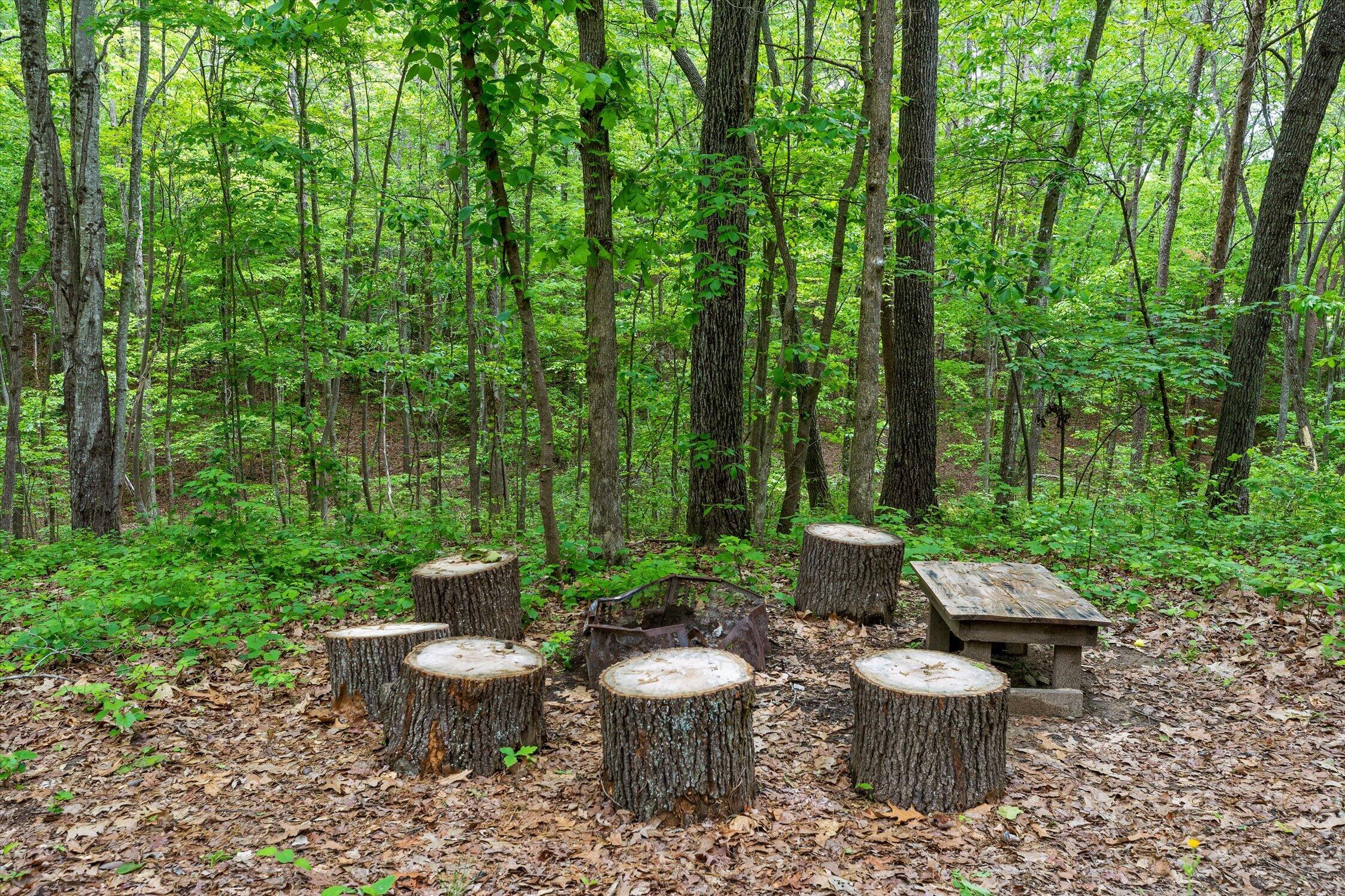 65 Rocky Top Trail