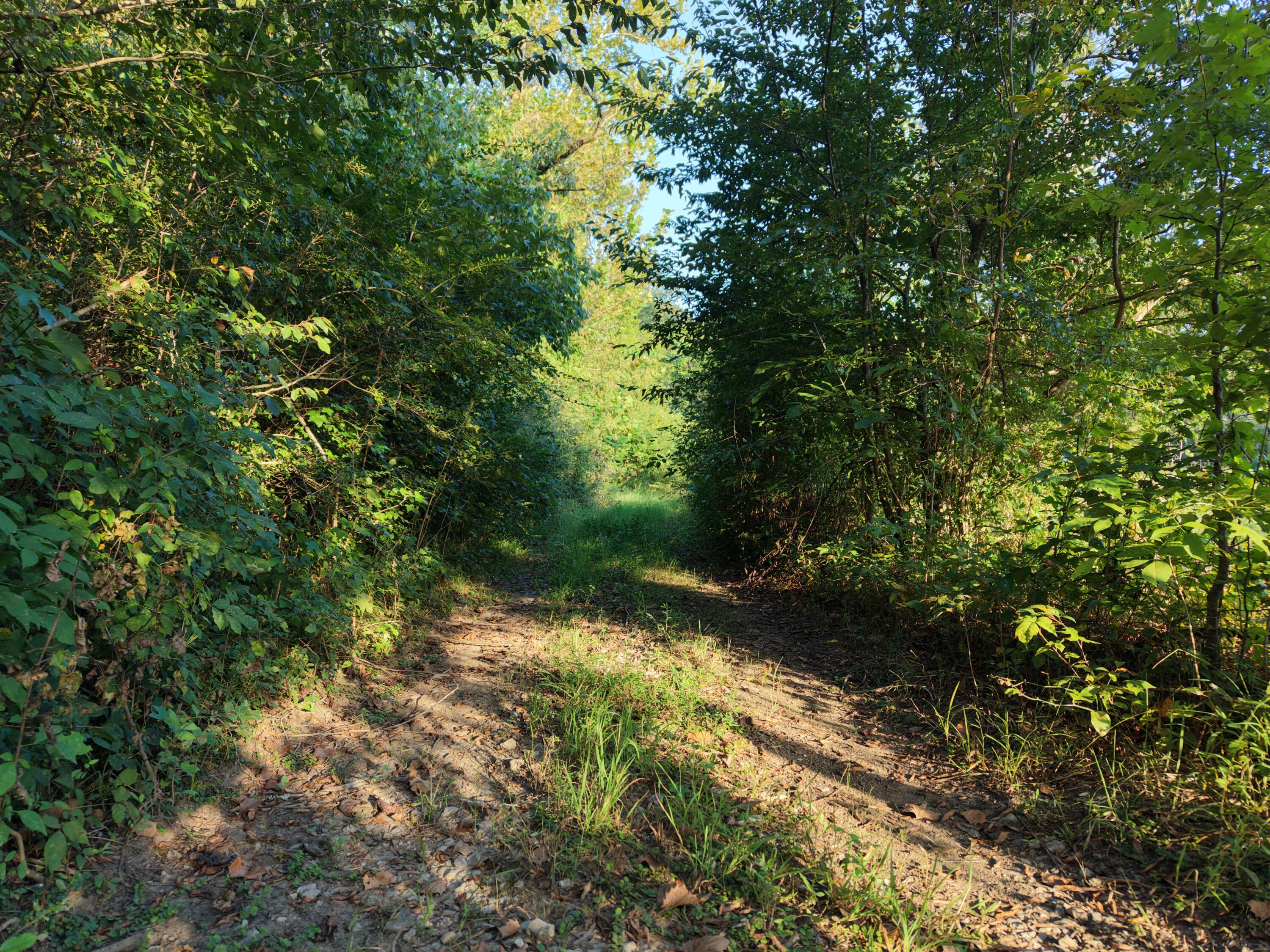 28 County Road