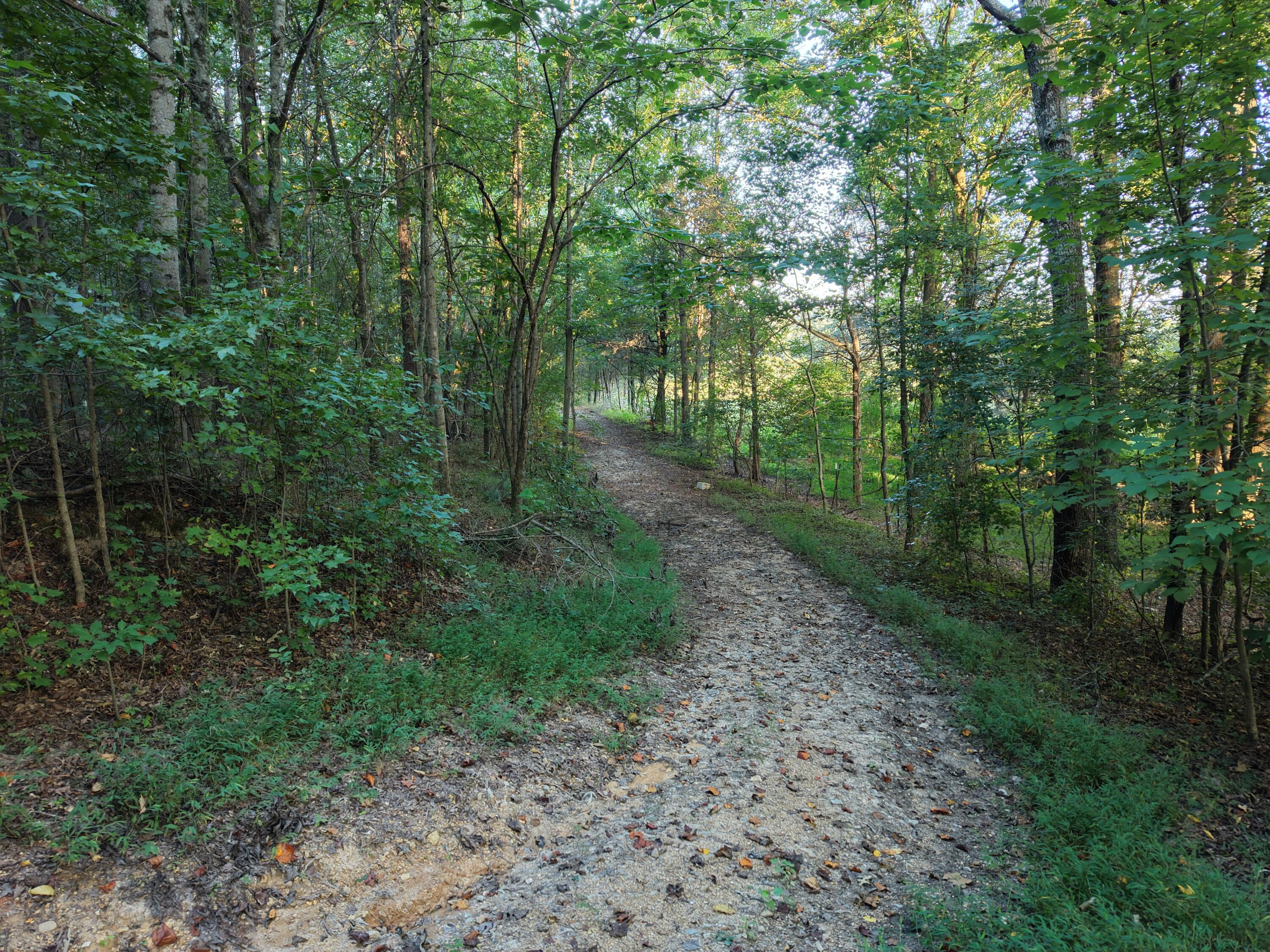28 County Road