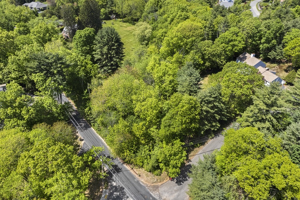 92A Woodland Street