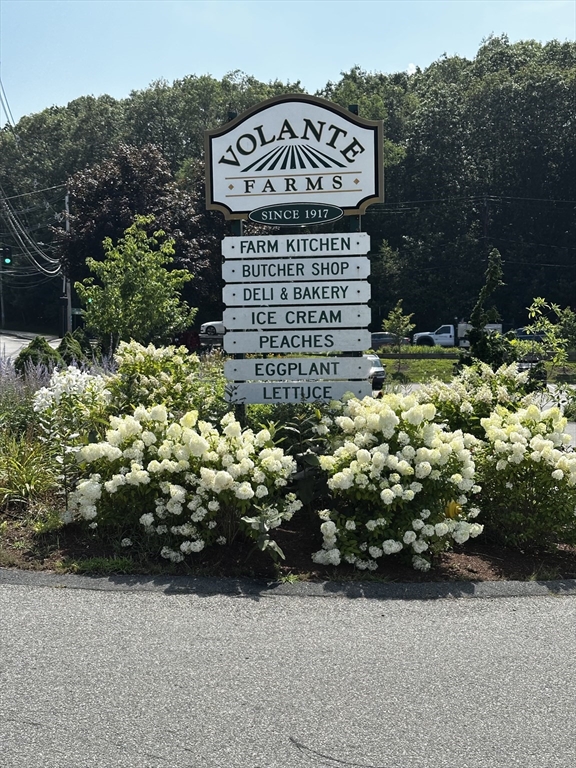 46 Sunset Rd # 46