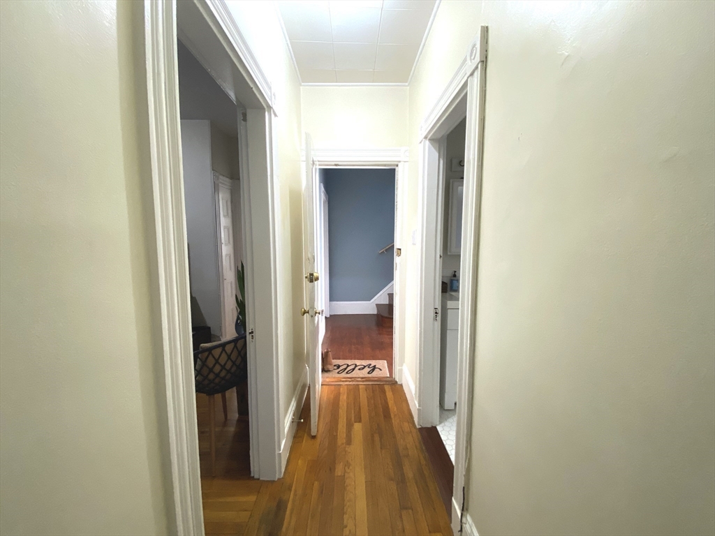 54 Weld Hill Street # 2