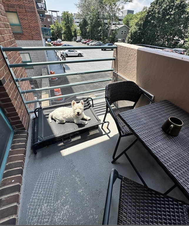 165 Cottage Street # 303