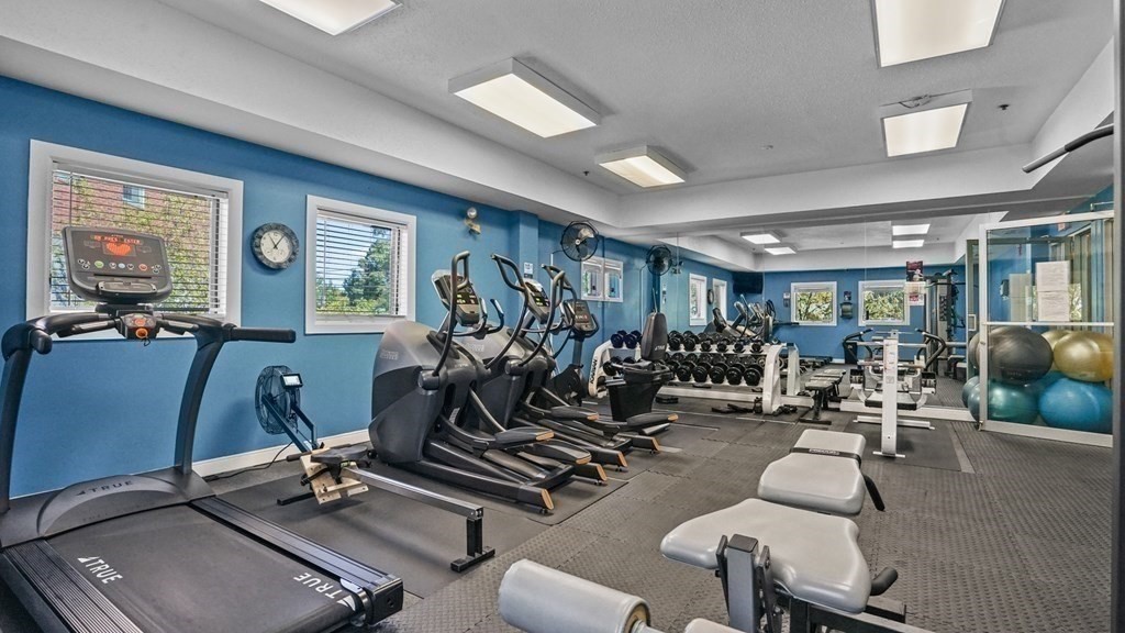 165 Cottage Street # 303