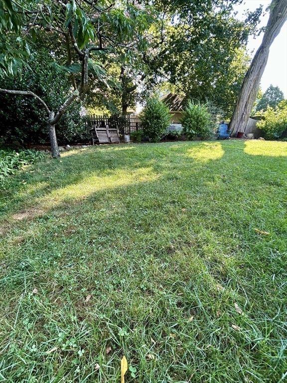 23 Ainsworth # 1