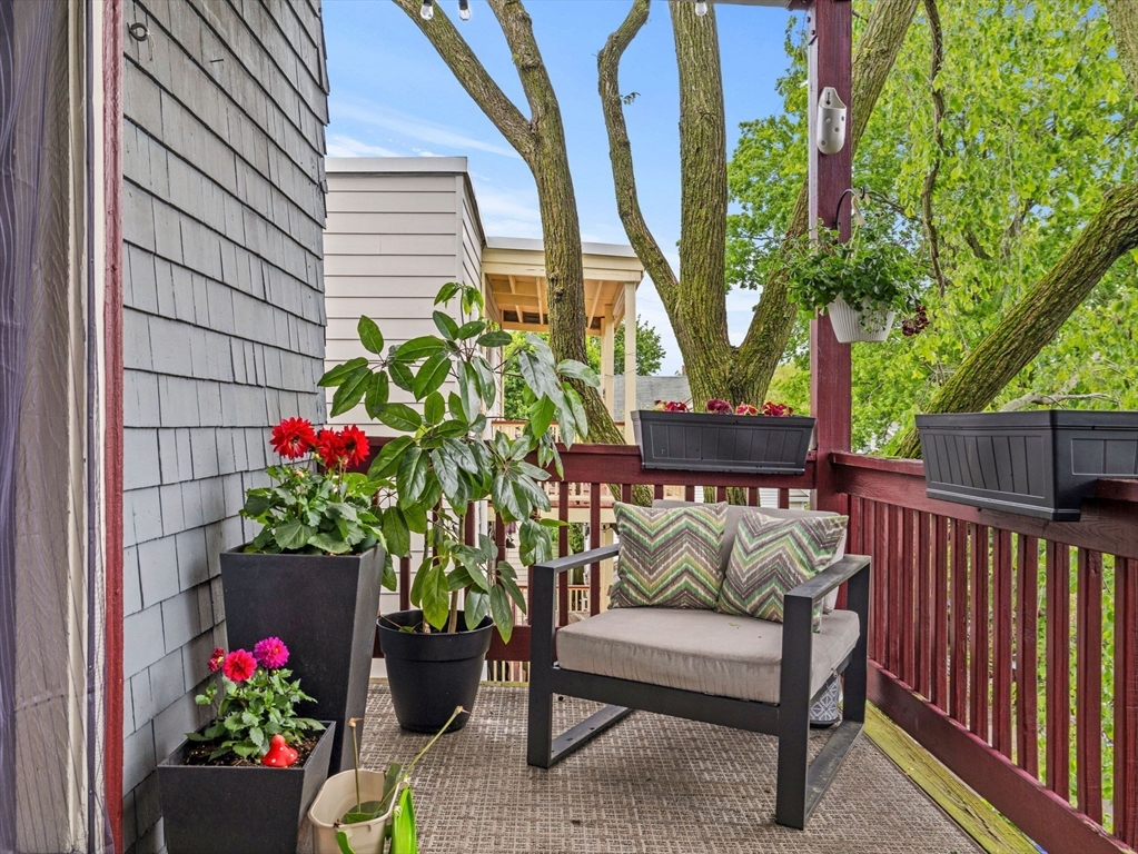 81 Child Street # 3