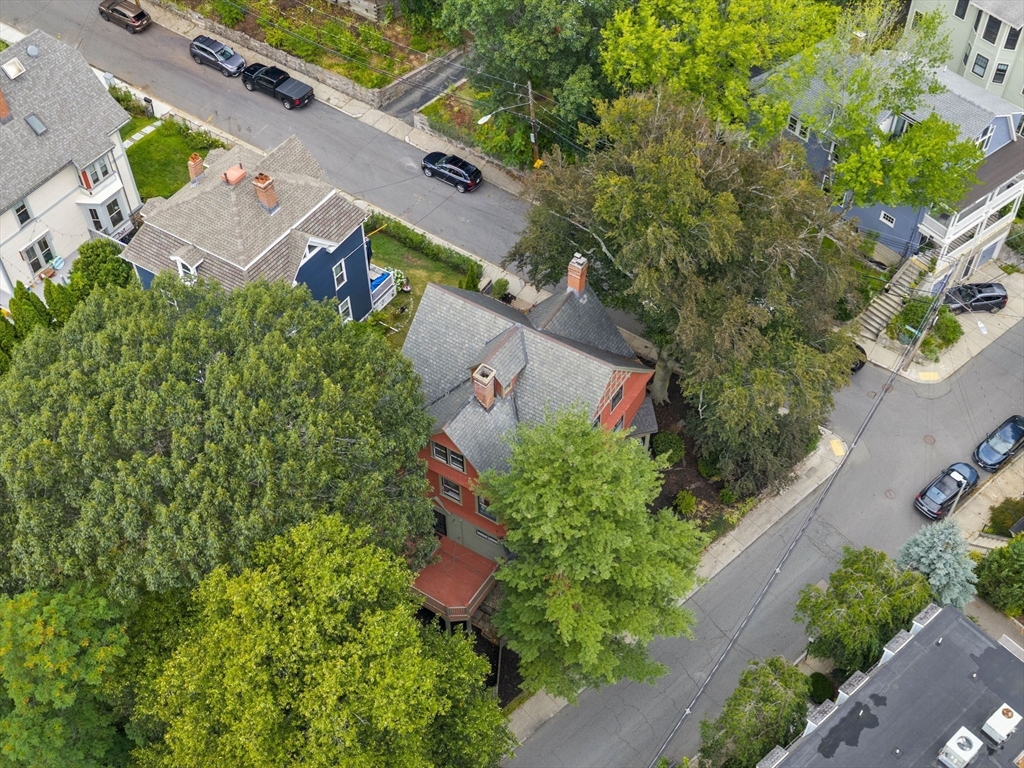 119 Sedgwick St