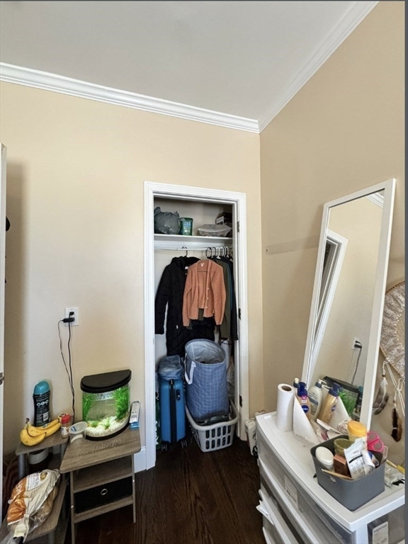 47 Dalrymple Street # 3