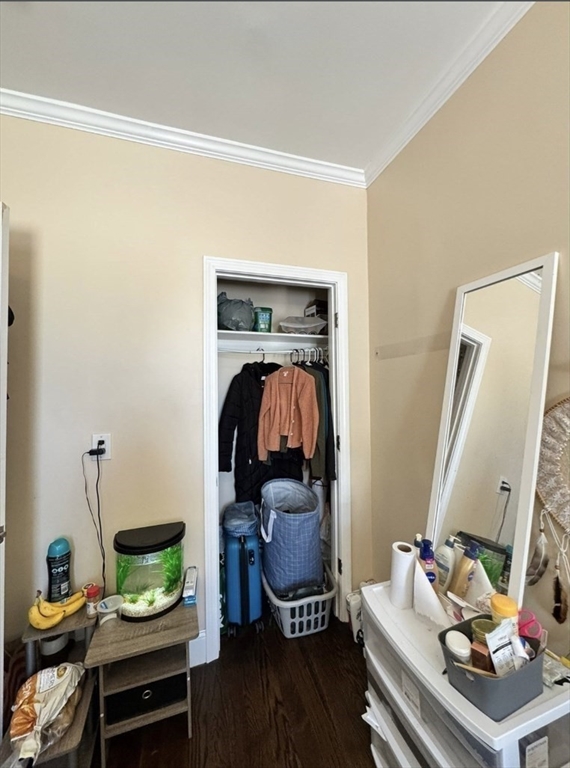 47 Dalrymple Street # 3