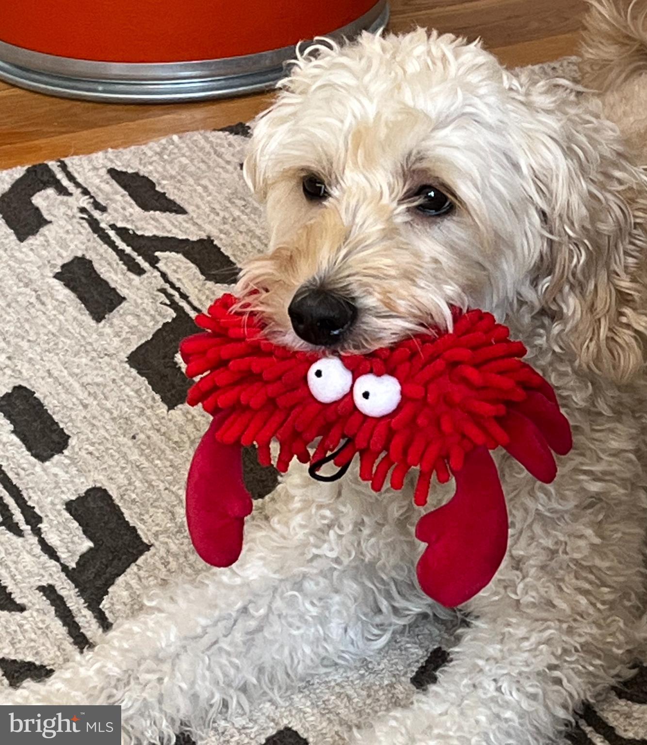 2707 ADAMS MILL ROAD NW 303