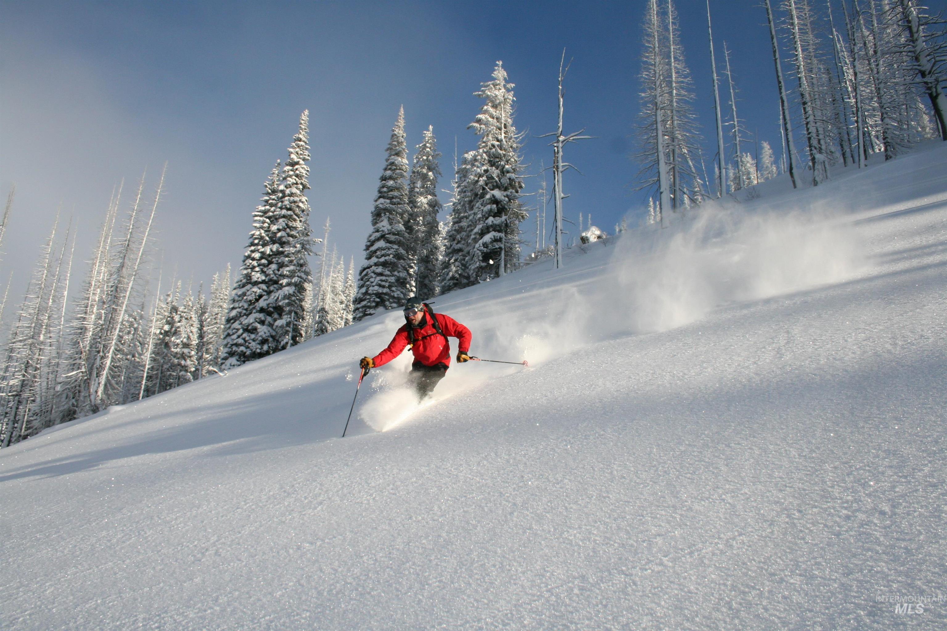 2402 Warren Wagon Road, McCall