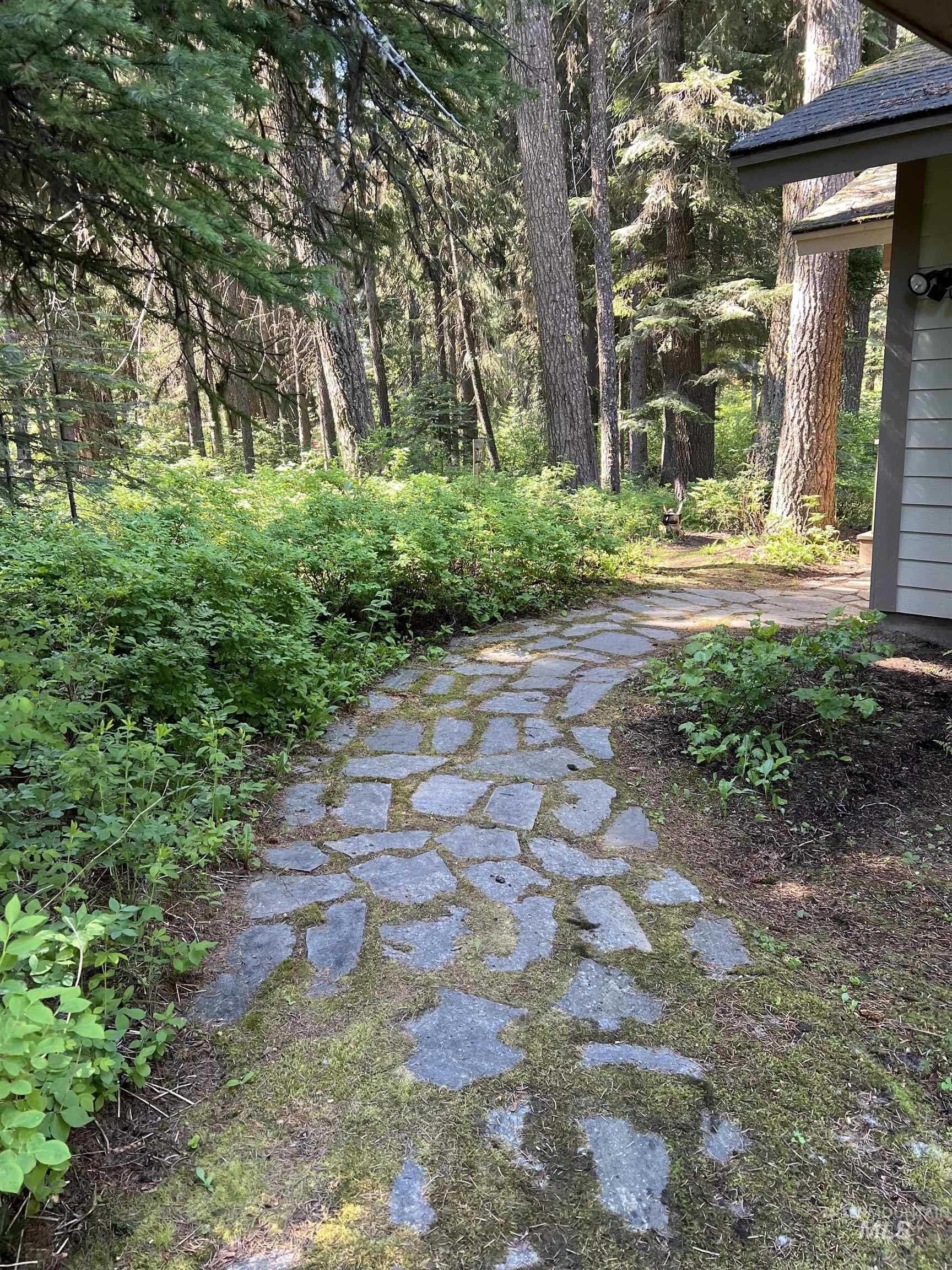 2402 Warren Wagon Road, McCall