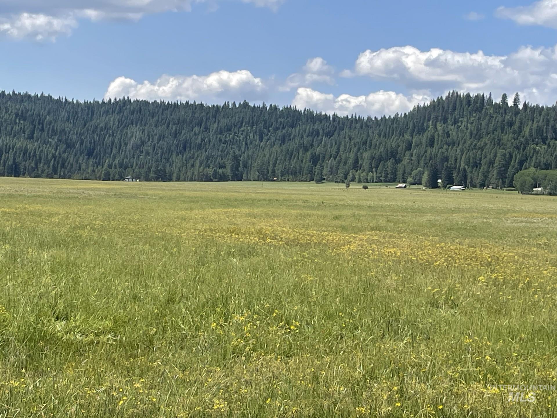 163.21 AC Gray Lane