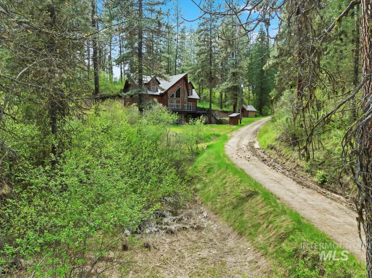 11 Forest Trail