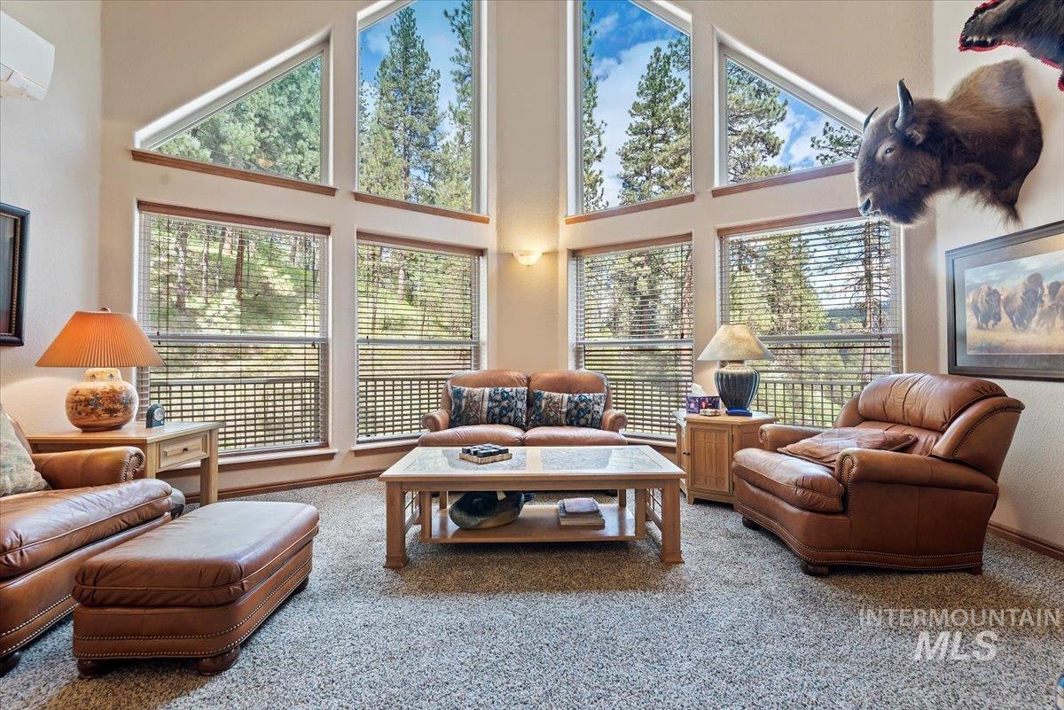 11 Forest Trail