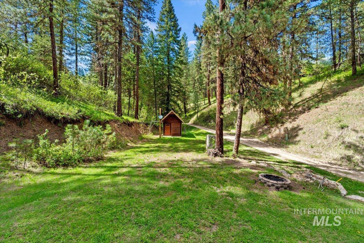 11 Forest Trail