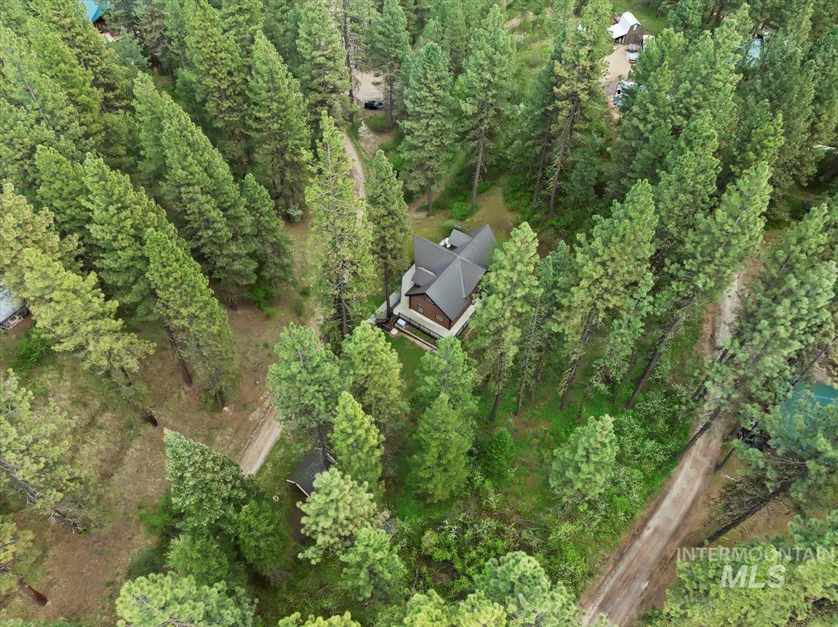 11 Forest Trail