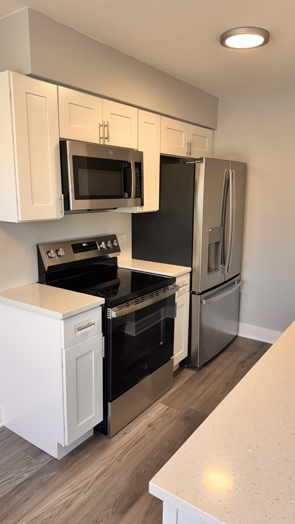 2422 W Berwyn Avenue Unit: 309