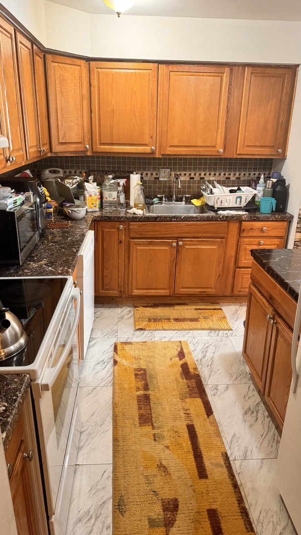 6220 N Ridge Avenue Unit: S203
