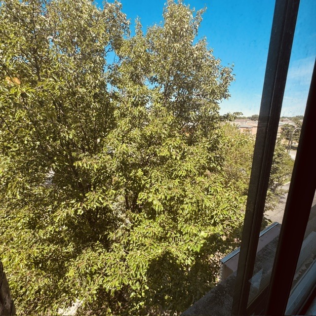 5306 N Cumberland Avenue Unit: 507