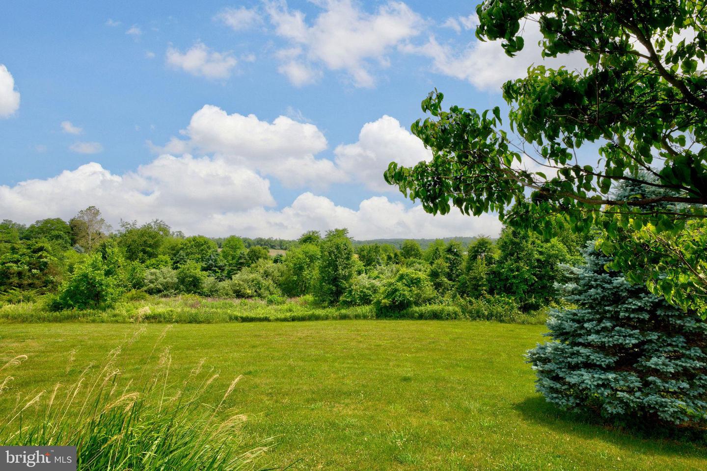 115 Countryside Dr