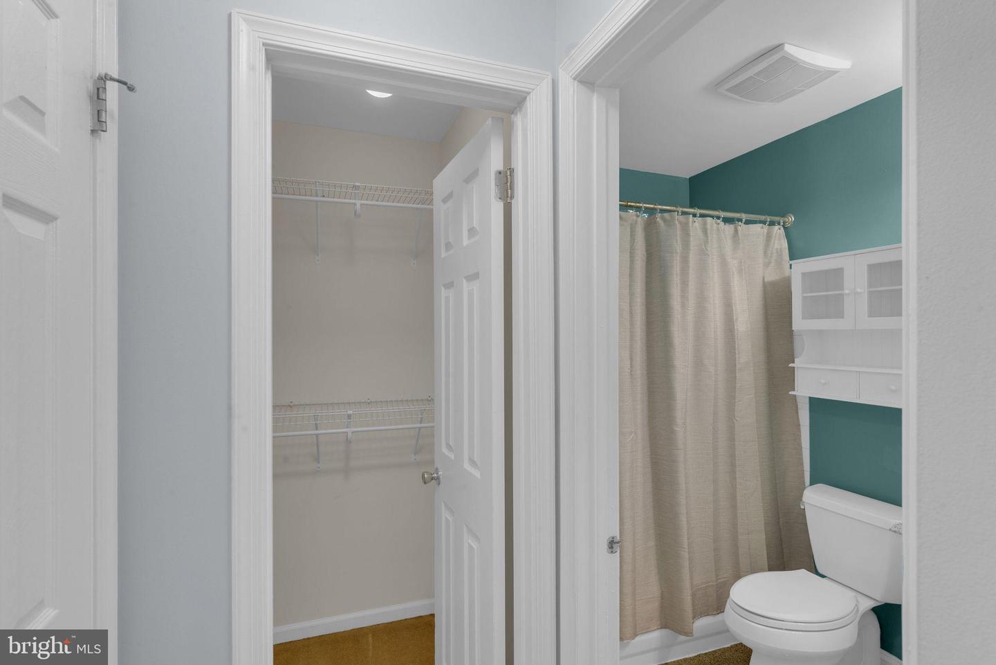 3919 Captain Molly Cir