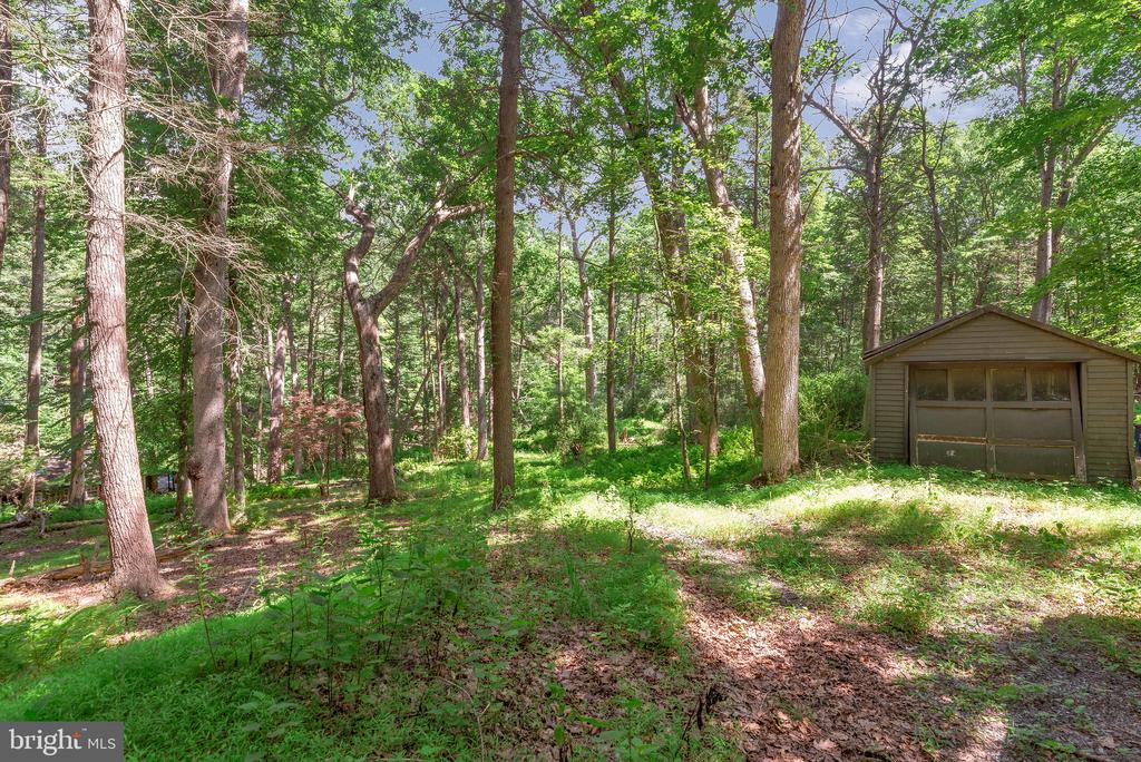 Wooded property grounds with a small detached shed among mature trees.