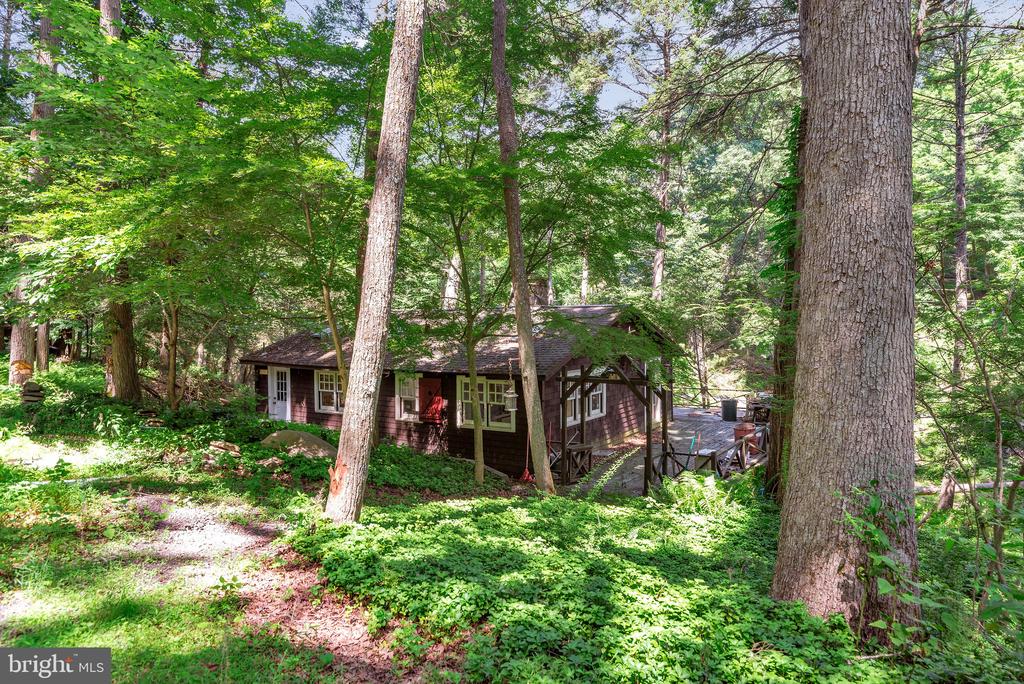 Wood-sided house with a covered deck nestled among tall trees and green groundcover.