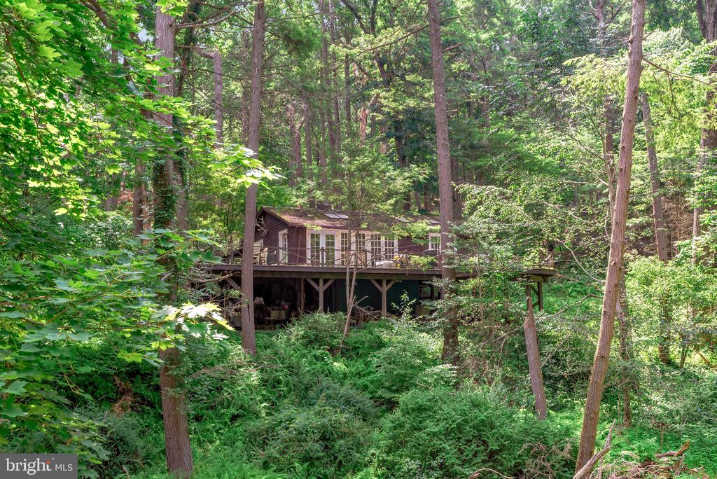 Woodland house elevated on supports, with a broad deck surrounded by mature trees and ferns.