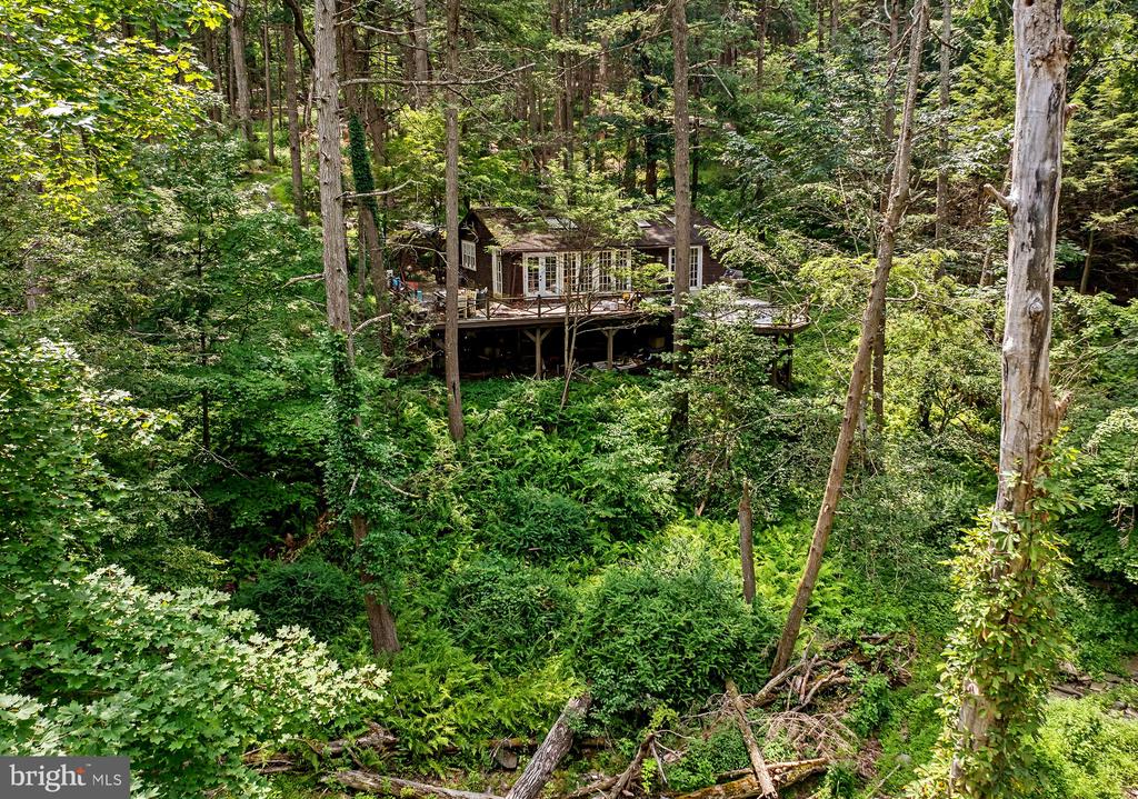 Wooded house with a broad raised deck surrounded by dense green trees.