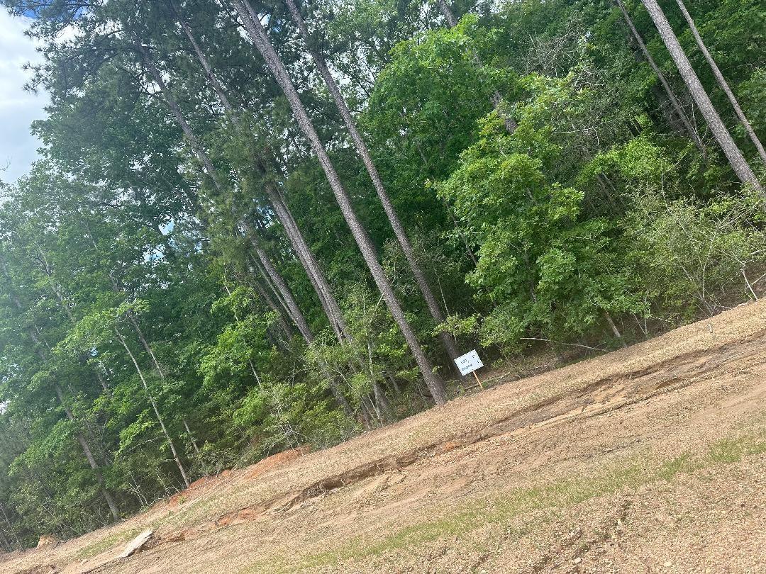 16279 Ridge Oak Road