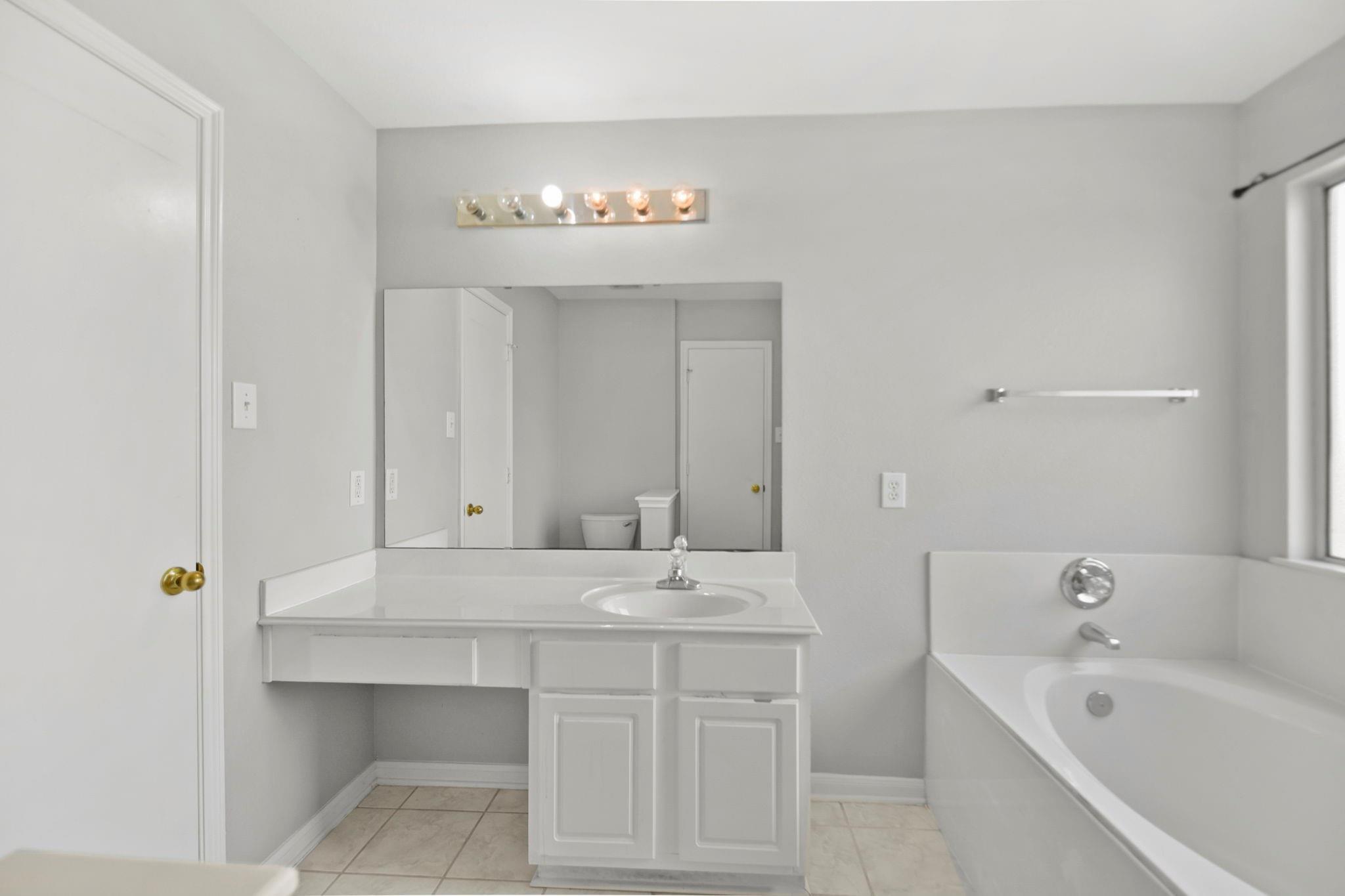 Vacant bathroom with a white vanity, large mirror, and bathtub.