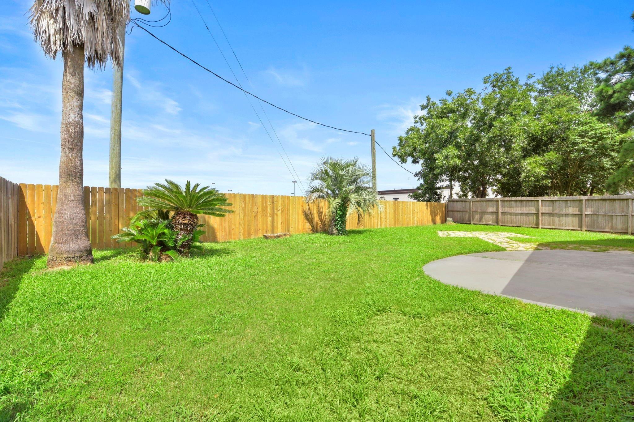 Backyard lawn with palm trees, wooden privacy fencing, and a curved paved patio.
