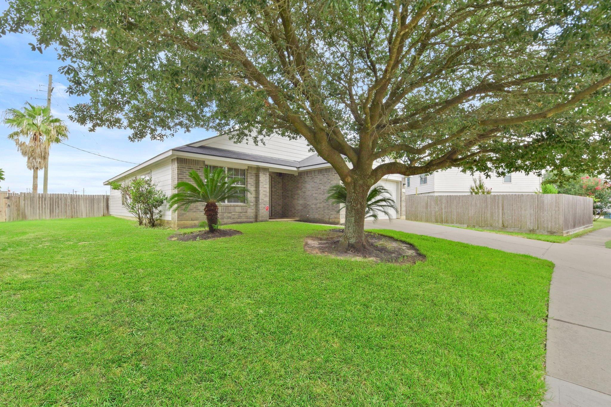 Single-story brick home behind a large shade tree, with a lawn, palm landscaping, and a fenced driveway.