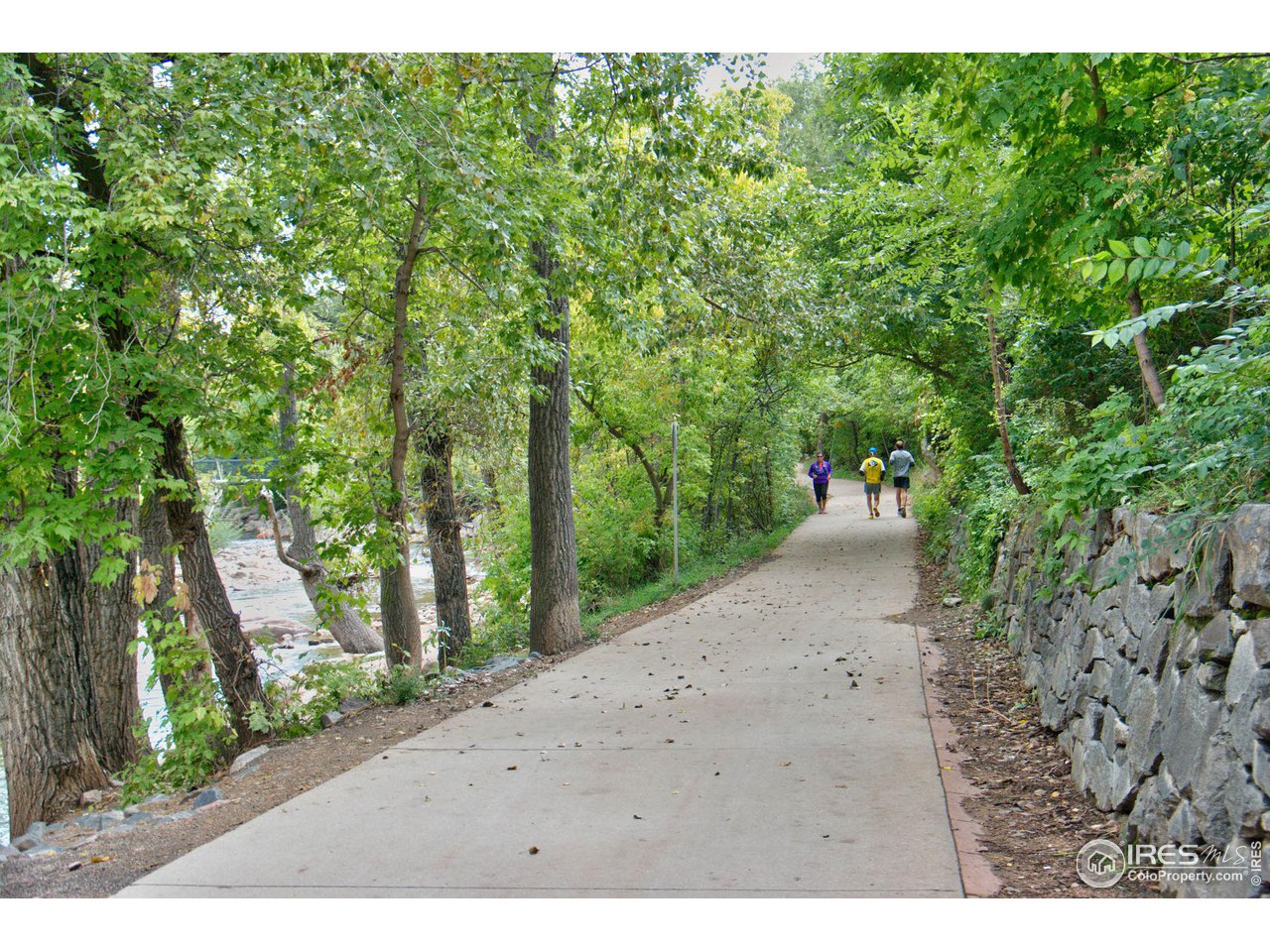 315 Arapahoe Ave 203