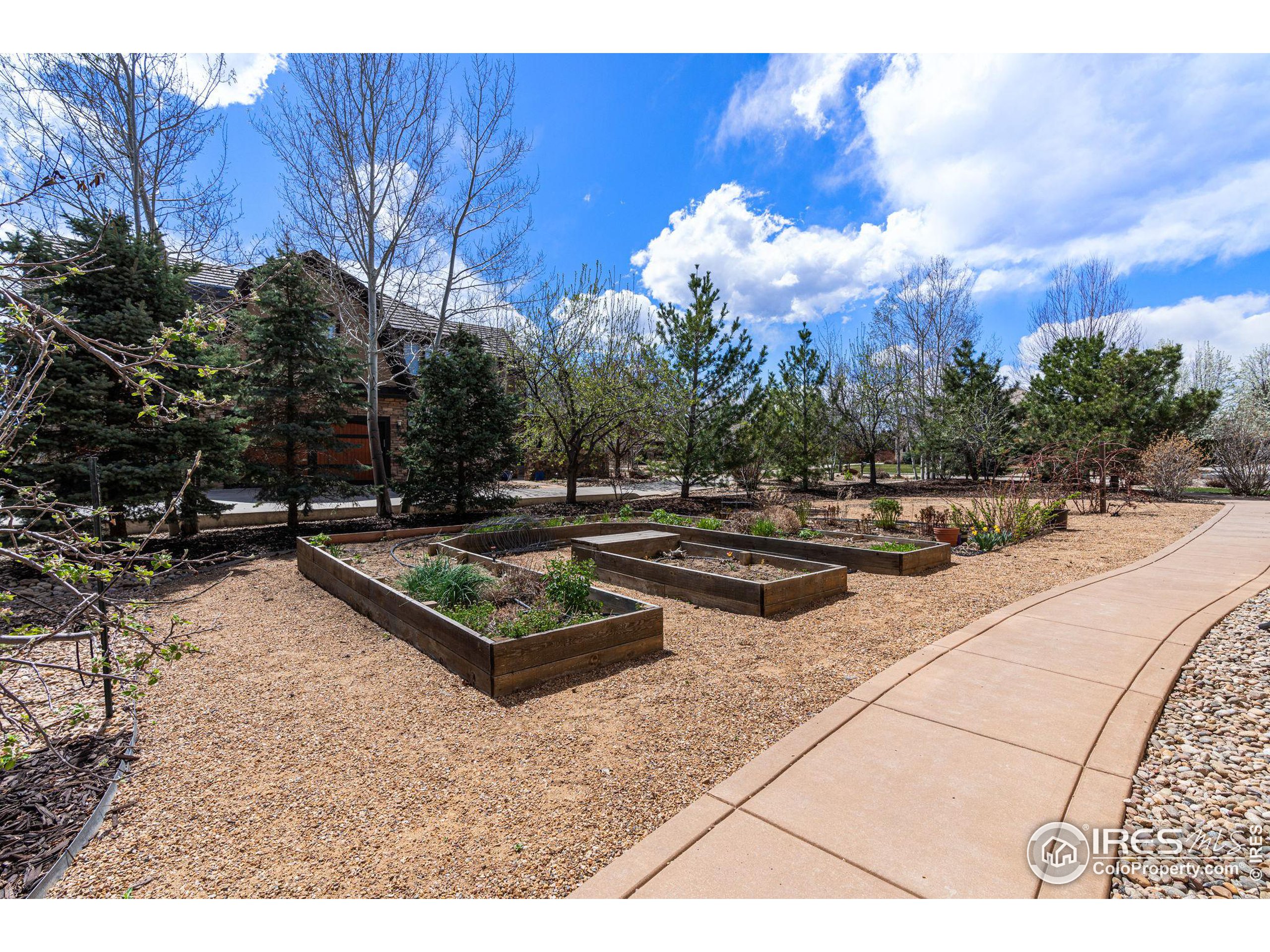 2112 Summerlin Dr