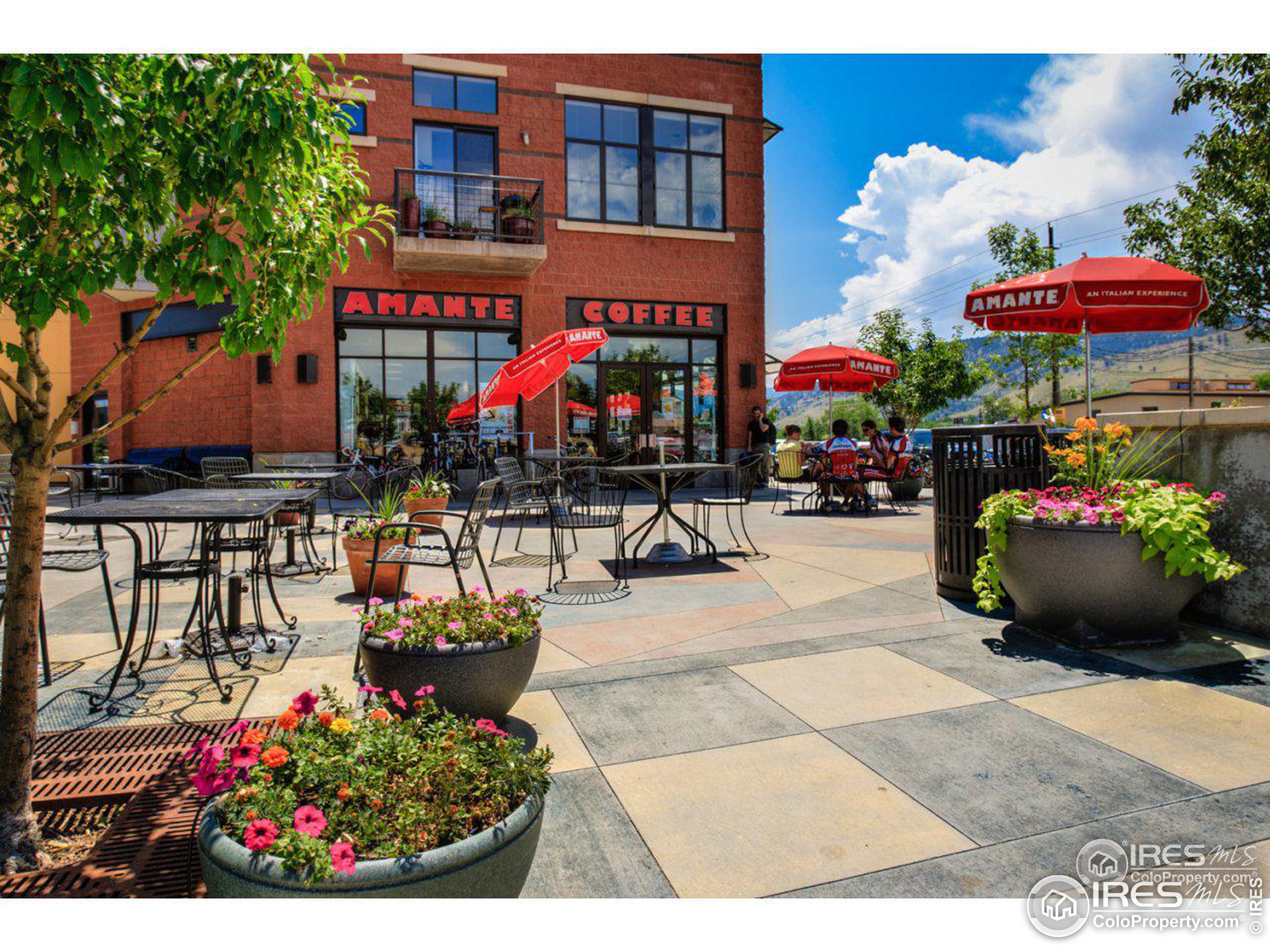 1529 Easy Rider Ln 201