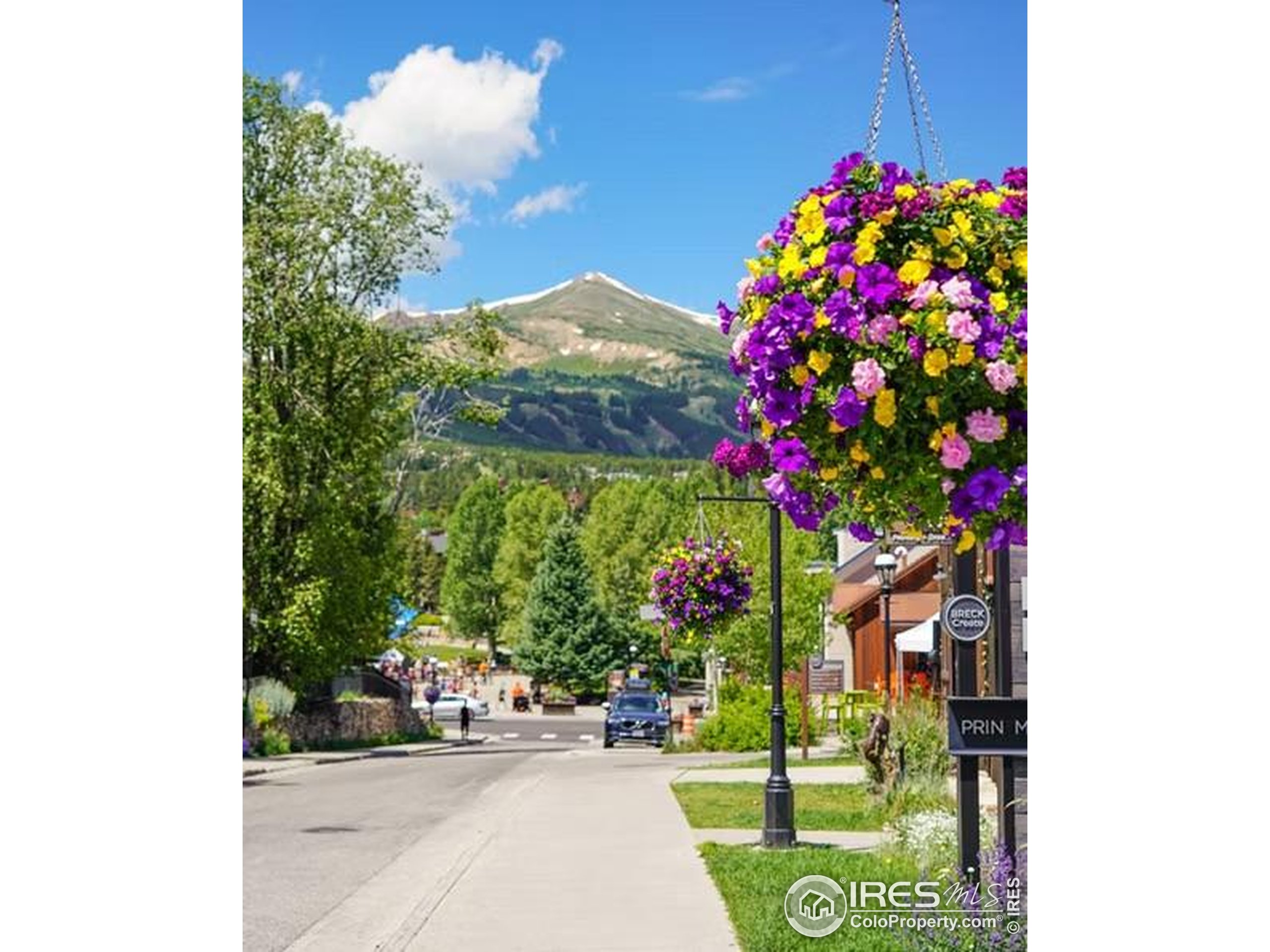 41 Stillson Placer Ter