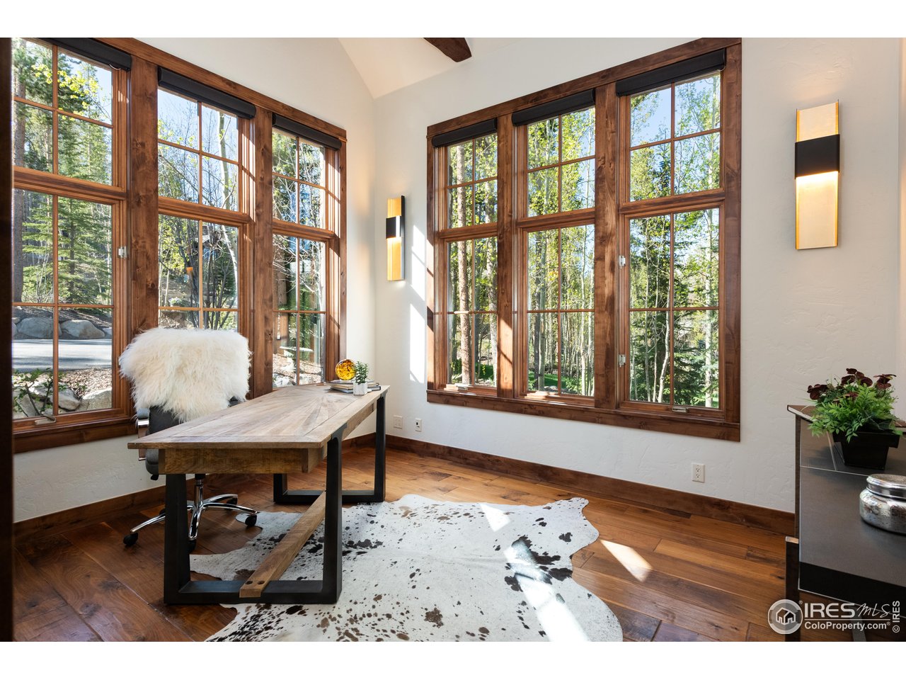 41 Stillson Placer Ter