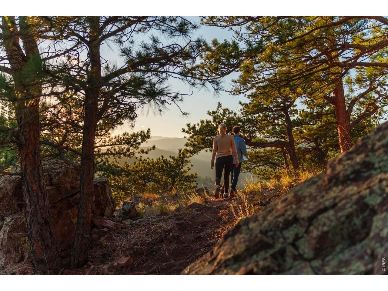 634 Fountaintree Ln