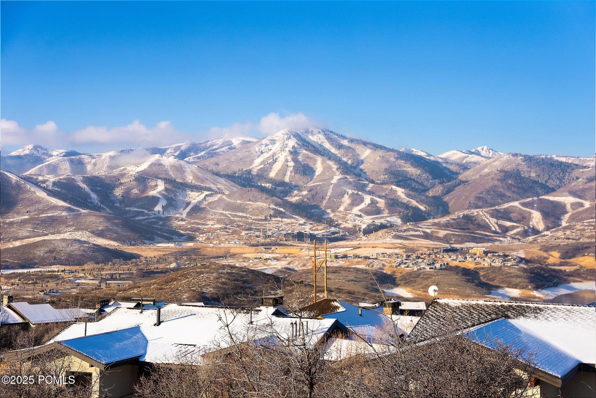 10492 N Forevermore Court 10