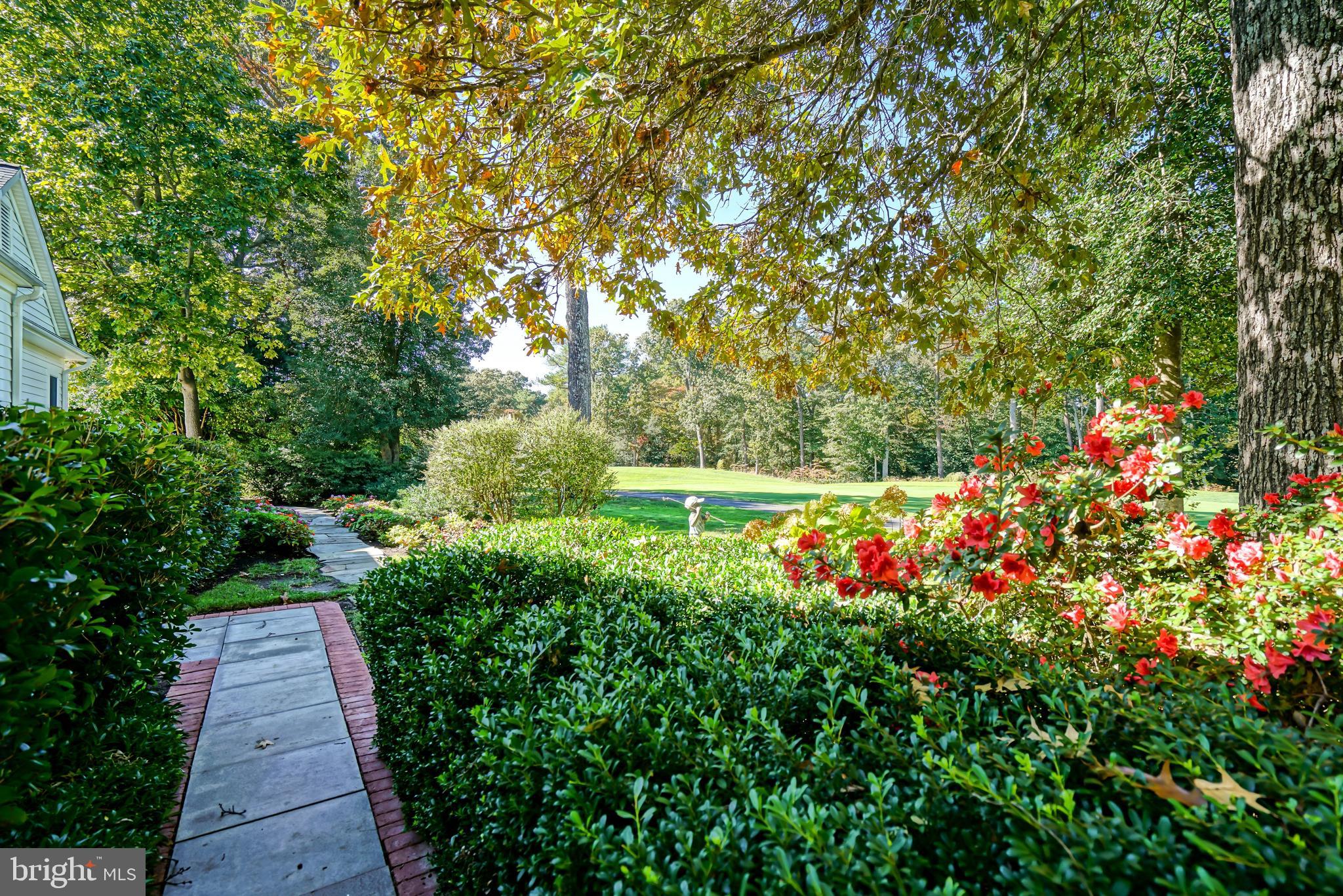 12 BLACK WALNUT COURT