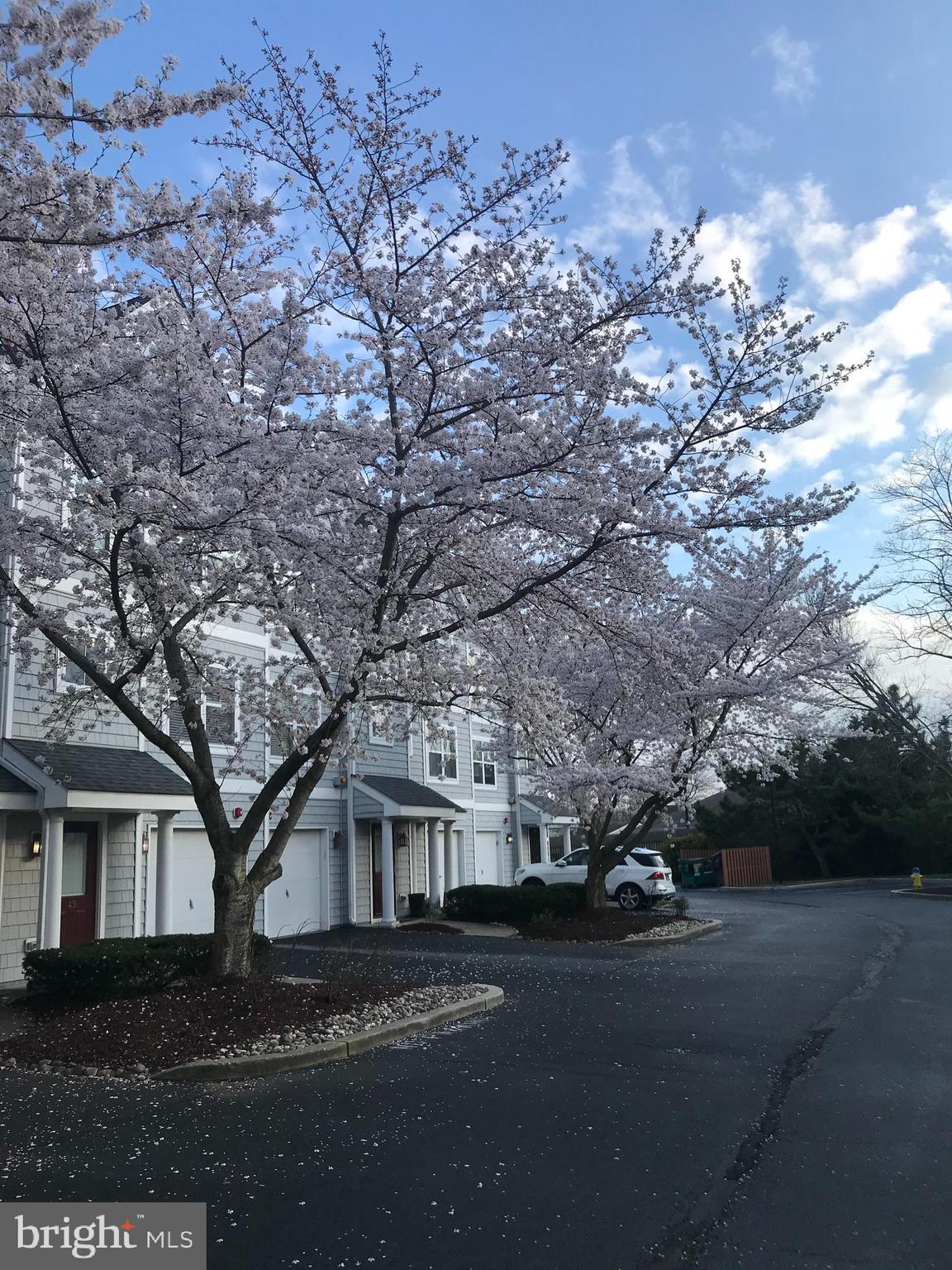 57 CANAL LANDING COURT